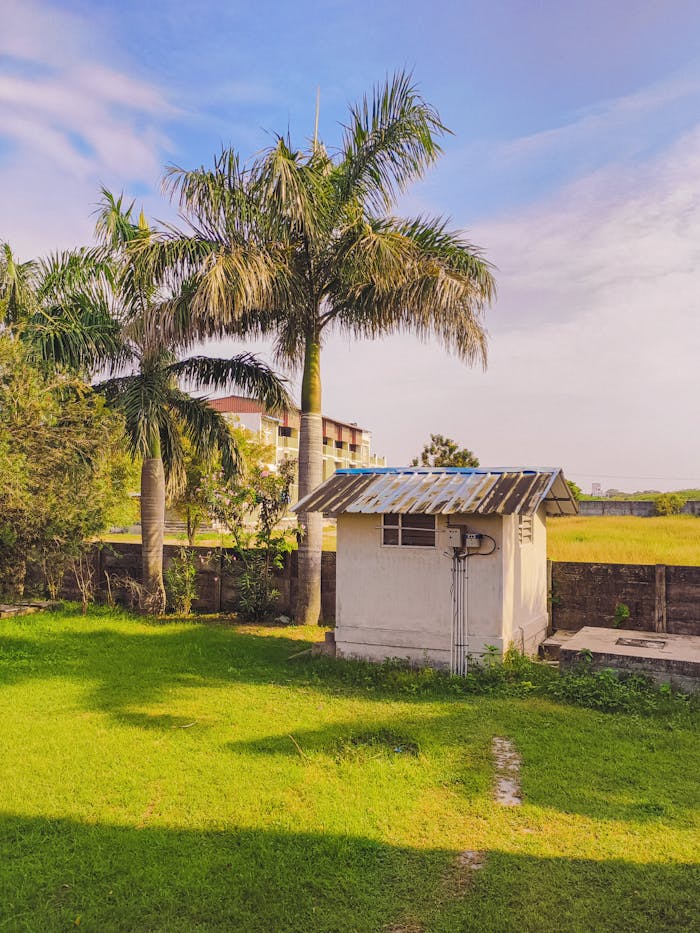 pexels photo 34359456.jpeg